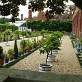 Ogrod przy Oranzerii #Hampton #Londyn #Tudor