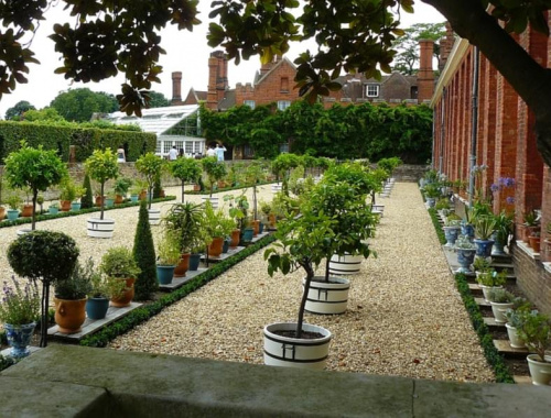 Ogrod przy Oranzerii #Hampton #Londyn #Tudor