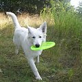 Nesti i frisbee :)