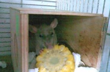 Artur, Lijam. #lijam #liam #artur #art