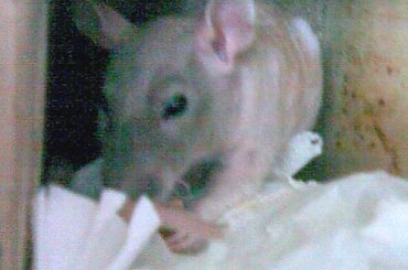 Artur, Lijam. #lijam #liam #artur #art