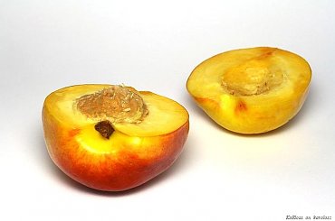 owoce, gruszka, nektarynka #owoce #gruszka #nektarynka