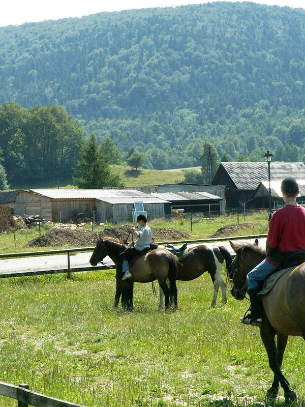 Stadnina Koni Huculskich w Regietowie k/Gorlic #regietów #konie