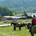 Stadnina Koni Huculskich w Regietowie k/Gorlic #regietów #konie