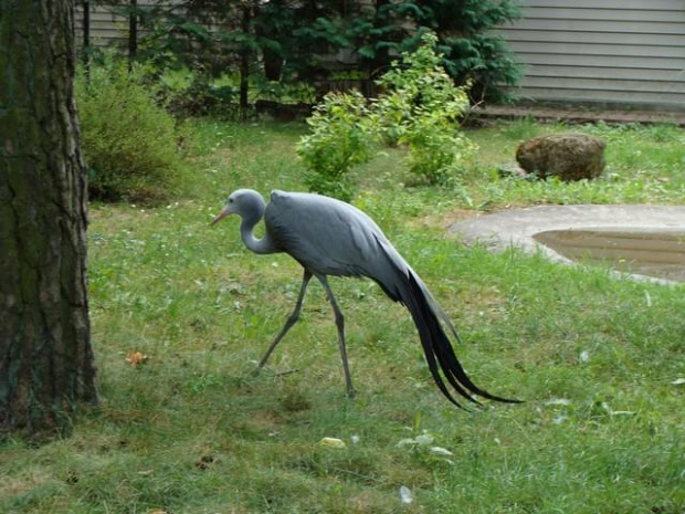 Nasze wszystkie dzieci i wnuki w łódzkim zoo