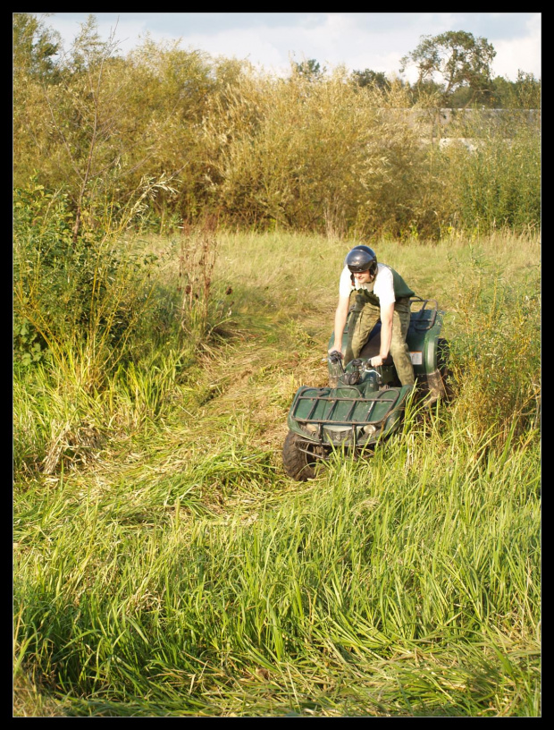 sterdyń