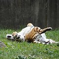 Nasze wszystkie dzieci i wnuki w łódzkim zoo