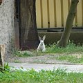 Nasze wszystkie dzieci i wnuki w łódzkim zoo