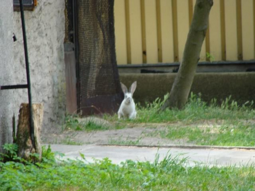 Nasze wszystkie dzieci i wnuki w łódzkim zoo