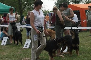 CIRYS znad Rzeki Maskawy CACIB Kraków #BEZA #CIRYSZnadRzekiMaskawy #Hovawart