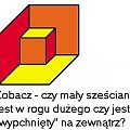 złudzenia