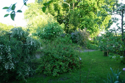 Ogród w maju