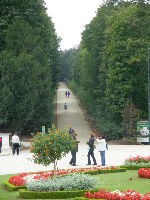 Jedna z wielu ścieżek w ogrodzie Pałacu Schonbrunn