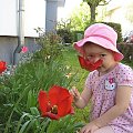Ela i tulipany #tulipany #dziecko #dziewczynka