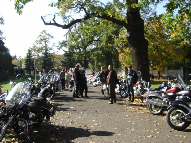 Moszna 12-10-2008