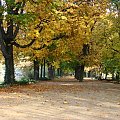 STOLYCA
