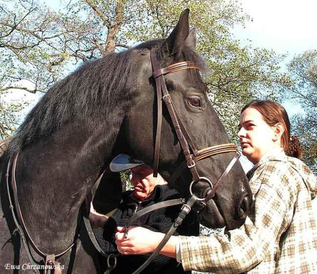 2008.10.18 Hubertus I