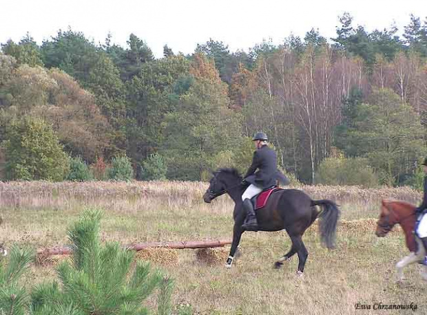 2008.10.18 Hubertus I