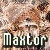 Avater 2