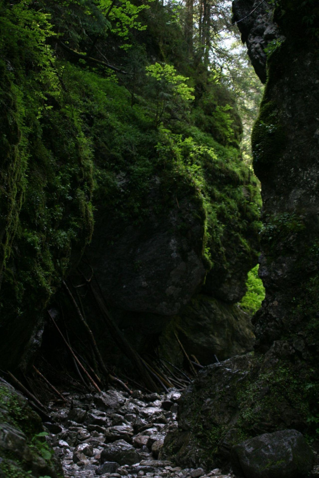 DOLINA CHOCHOLOWSKA & KOSCIELISKA #ZAKOPANE #GÓRY