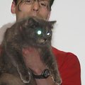 Dasza okazała sie najlepszą kotką specjalistycznej wystawy kotów syberyjskich wśród dorosłych kotek - została wybrana przez sędziego z Austrii Mr. Karl Preiss
