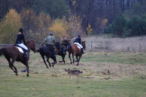 hubertus Kraśniany 2008 #KonHubertus