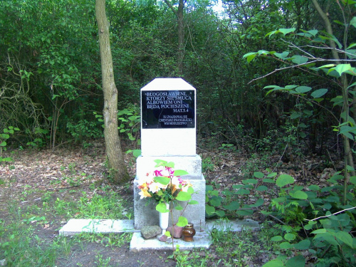 Trasa E5 Gniezno Łabiszynek Modliszewo
cmentarz Ewangielicki w lesie po prawej stronie 600 m od trasy