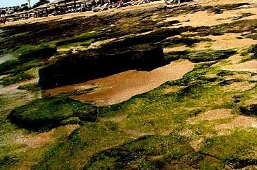 Egipt - plaża #Egipt #plaża #woda #wybrzeże