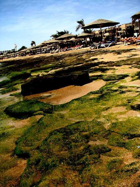 Egipt - plaża #Egipt #plaża #woda #wybrzeże