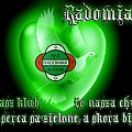 Radomiak to Nasz klub #Radomiak #RKS