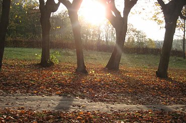 #jesień #bydgoszcz #krajobraz #park #ostromecko #brda #ada