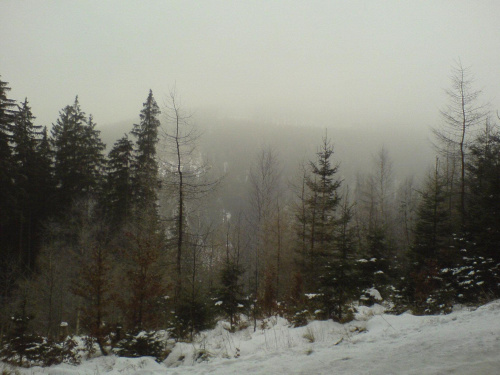 Droga ze schroniska na Śnieżniku w kierunku Międzygórza #ŚnieżnikSudety