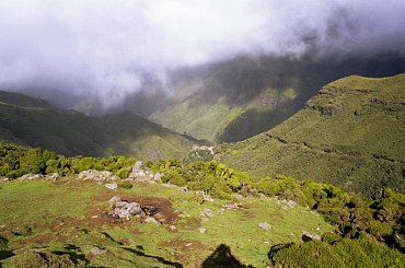 #madera #wyspa #kwiaty #morze #gory