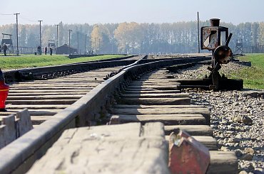 #Oswiecim #tory #pamiec