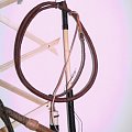 6' ,12 plait kangooro stock whip #StockWhip