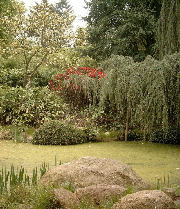 Hamburg Botanische Garten