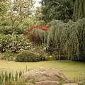 Hamburg Botanische Garten