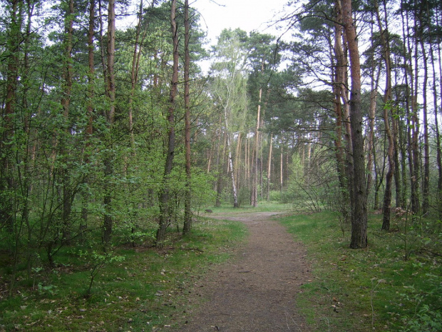 Bydgoszcz- spacer po parku.