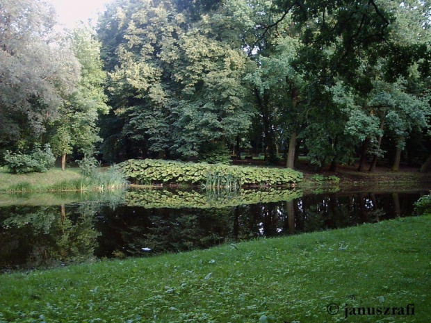 Gniezno, Park Miejski