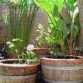 Trzy mini ogródki wodne w drewnianych donicach - kaskada
