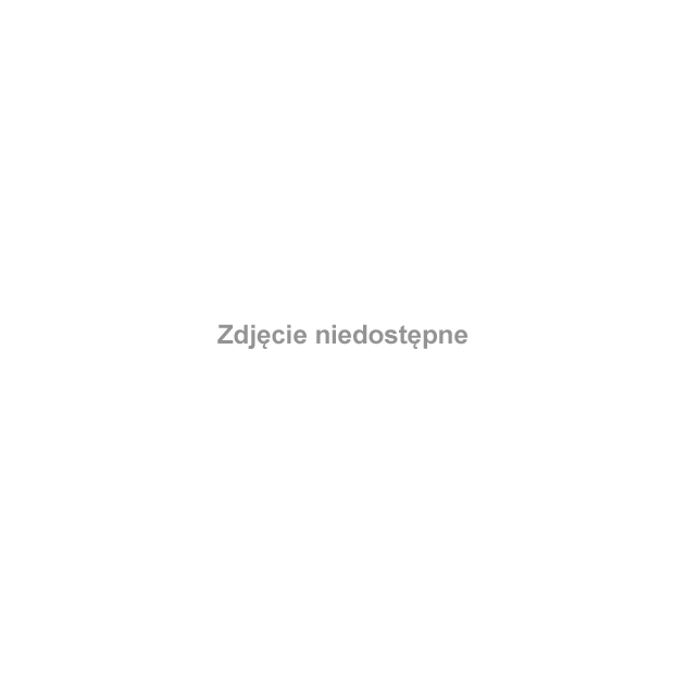 Most kolejowy na rzece Pisie #RzekaPisa #Smętek #Pisa #Pisz #Remes #Mazury
