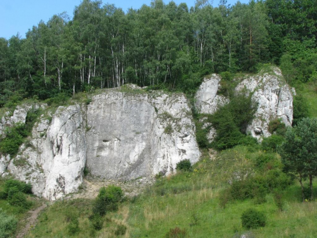 Dolina Kobylańska.