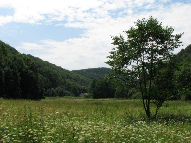 Dolina Będkowska.