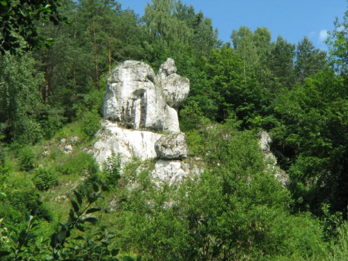 Skałka w Dolinie Kobylańskiej.