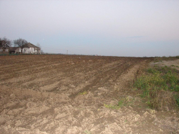 widok na działeczkę - grudzień 2006