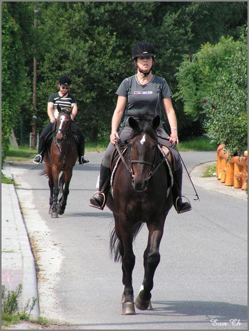 29.07.2007 Kajes, Cykada i reszta