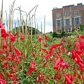 Hatfield House