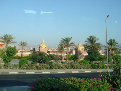 Gargamel w Sharm el Sheikh (Egipt)