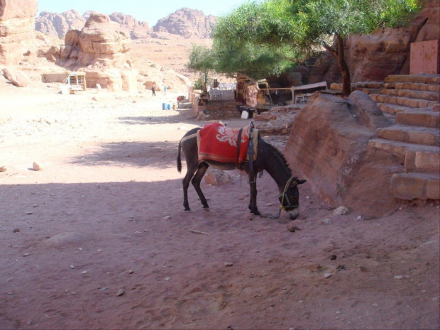 Petra (Jordania)