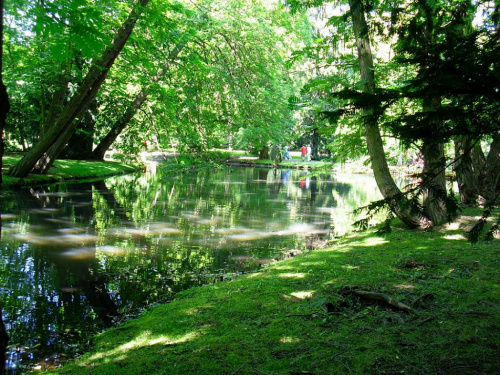 Dni parku Oliwskiego w Gdańsku - Lipiec 2007 #park #oliwa #gdańsk #ogród #botaniczny